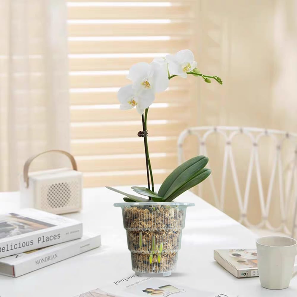 Meshpot 4 inch Clear Orchid Pots with Holes and Saucers for Repotting,Pack of 4,Small Plastic Orchid Planters Provide Good Air Circulation,Nursery Pots for Succulents,Herbs,Aloes,Mint
