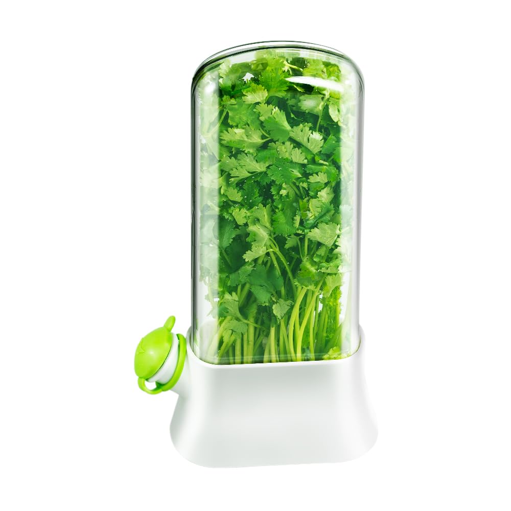 orimetre Herb Keeper for Refrigerator – Lettuce & Cilantro Container, Fresh Vegetable Saver Pod, Storage Bottle & Fresh-Keeping Box for Spinach, Asparagus, Celery, Mint (White)