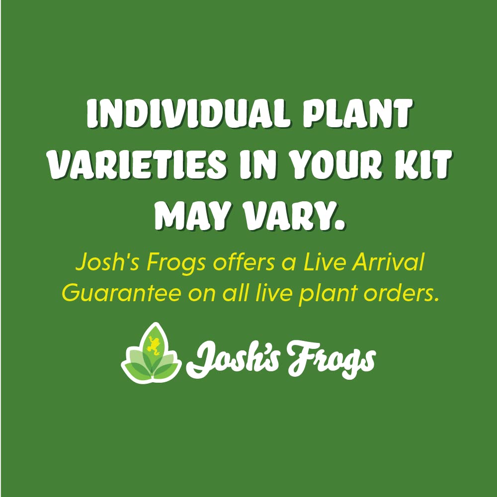 18x18x24 Day Gecko Vivarium Plant Kit
