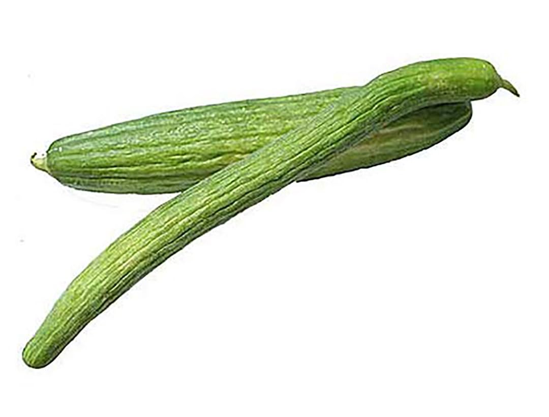 Armenian Striped Snake Cucumber Seeds - 75+ Seeds…