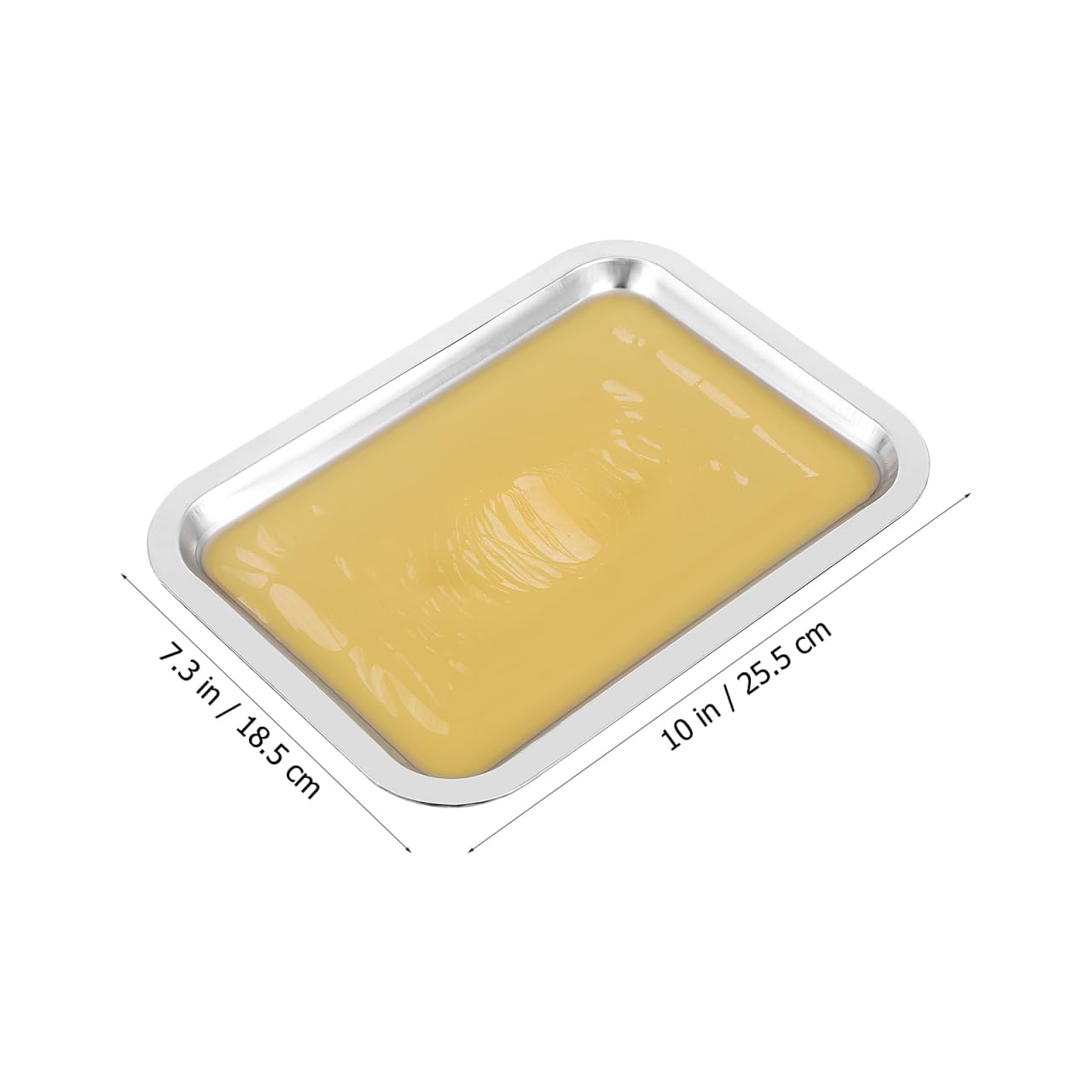iplusmile 6 Set Dissection Pan with Wax, 10.2" x 7.5" Reusable Thicken Stainless Steels Dissection Kit for Laboratory Science Education & Medical Students Experiments