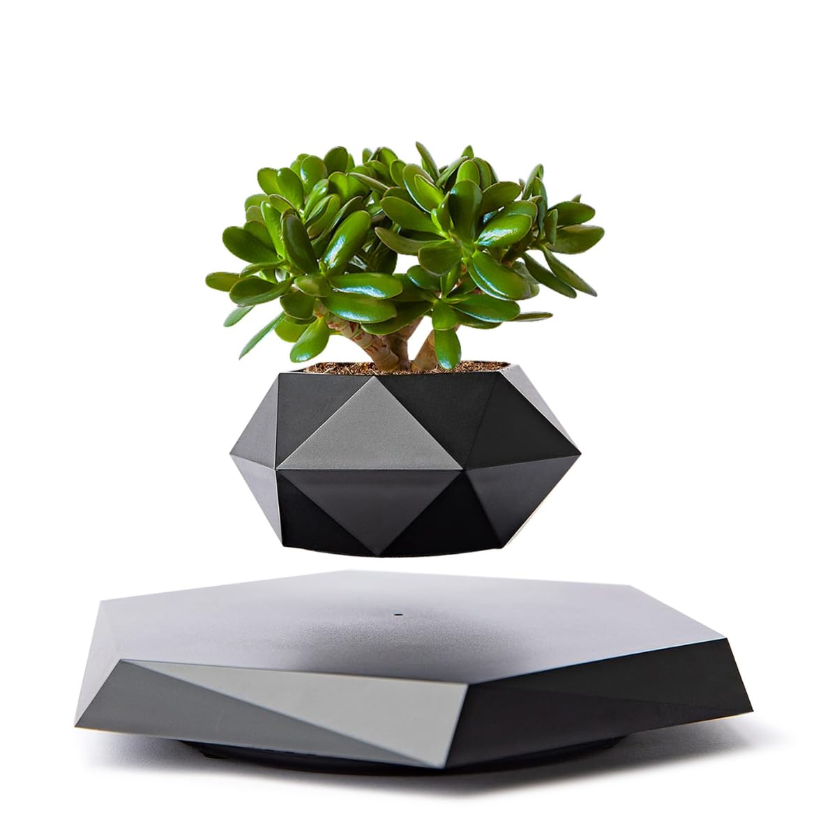 MOOCCI Levitating Plant Pot Floating Plant Potted Plant, Air Bonsai and Artificial Plants, Home Office Desk Decor, Gift for Easter, Mother's, Father's Day（Black
