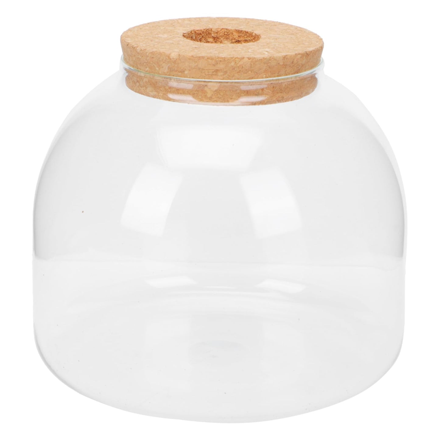 VANZACK 1set Glass Terrarium Container for Microlandscape Decor Transparent Bottle for Indoor and Outdoor Creative Plant Displays for Use