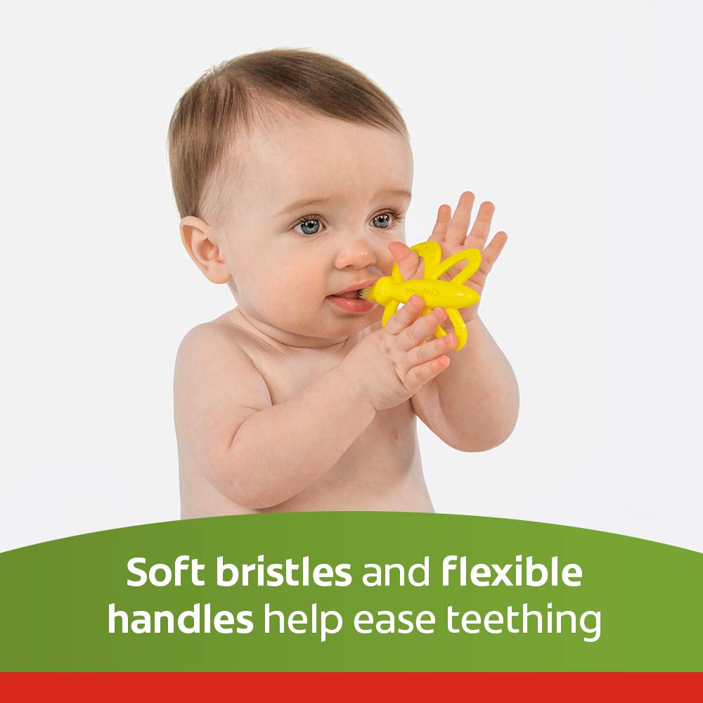 Colgate Baby Toothbrush and Teether, BPA Free â€“1 Count (Pack of 4)