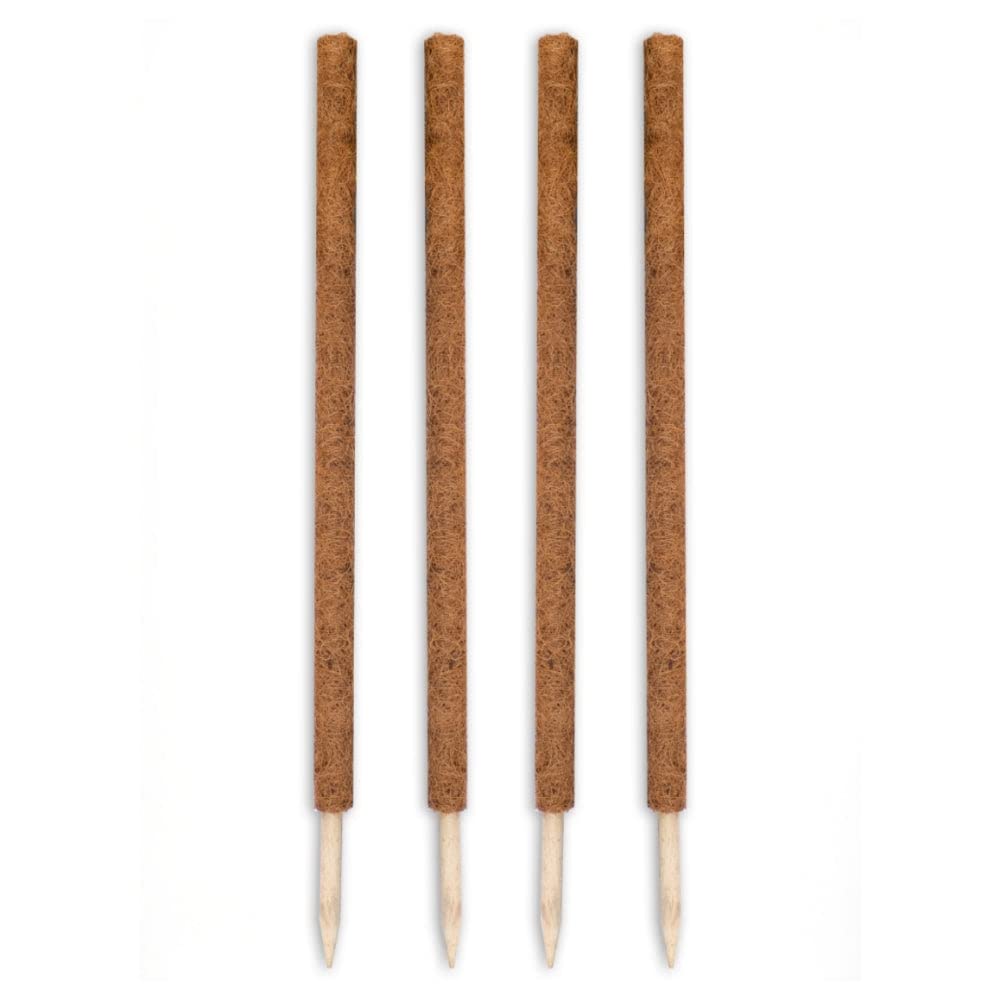 Envelor Coco Moss Poles Plant Support Stakes Coco Plant Stake Pothos Coir Totem Pole Monstera Moss Pole Climbing Plant Support Potted Plant Upward Growth Vine Stackable Coco Sticks, 36 inches, 4 Pack