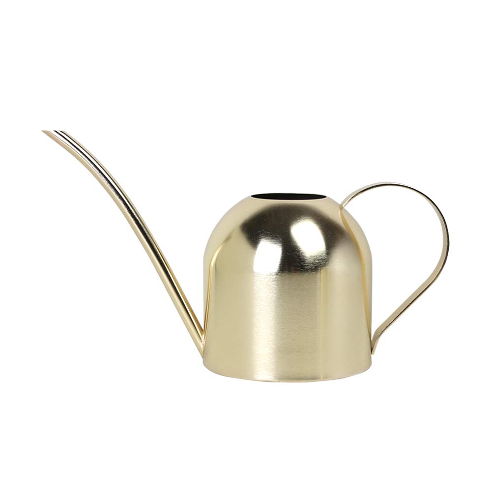 E.Palace Stainless Steel Water Can for Indoor Plants and Garden (Gold 30 oz)