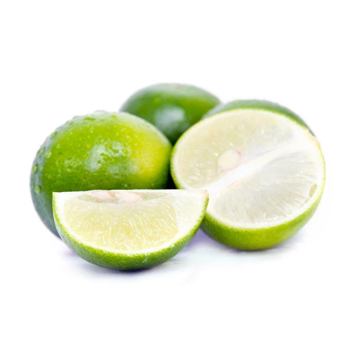 Mexican Key Lime Tree - 2-5 Inch Tall Live Plant - Potted Lime Fruit Seedling - Citrus aurantifolia