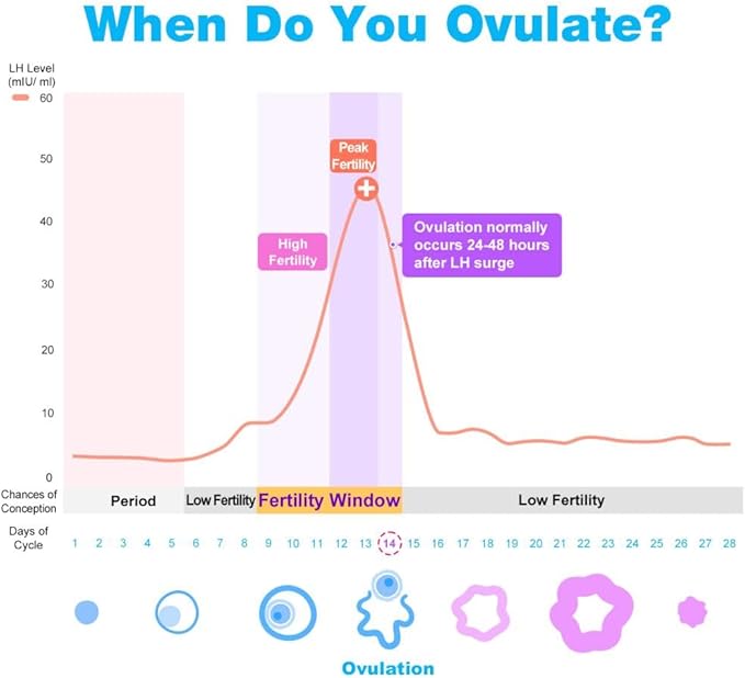 Easy@Home Ovulation & Pregnancy Test Strips Kit: 25 Ovulation Strips and 10 Pregnancy Tests – Accurate Fertility Tracker OPK | 25LH + 10HCG