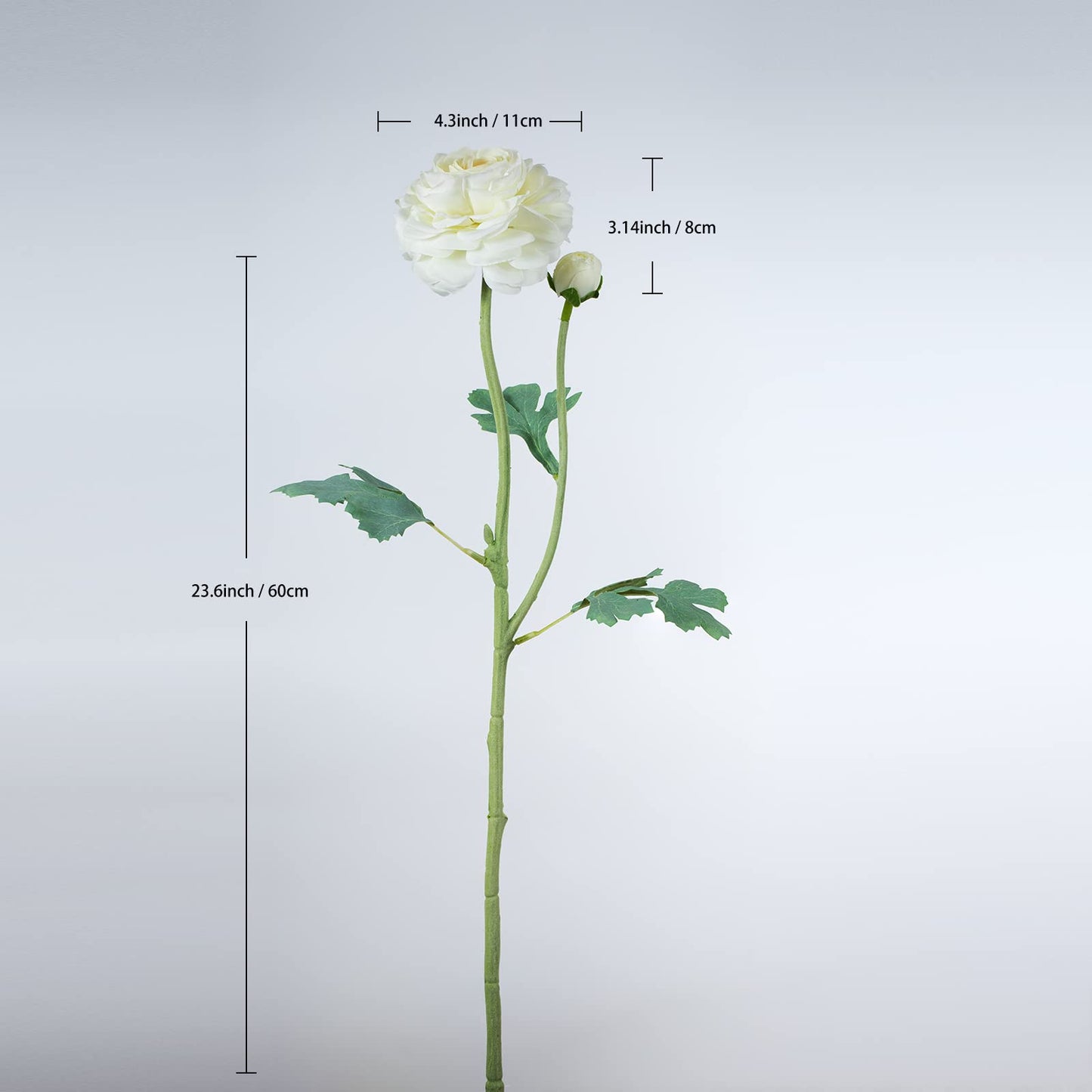 GLSATEMAN Artificial Ranunculus Long Stem Buttercup Silk Flowers 6pcs for Home Decor and Wedding Decorations(White 1)