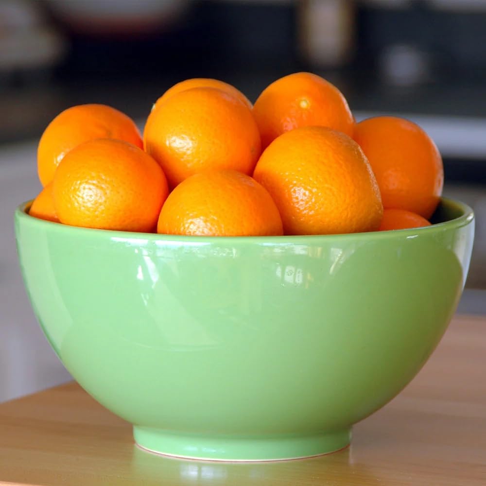 Brighter Blooms - Calamondin Orange Tree, 2-3 ft. - No Shipping to AK, AL, AZ, CA, FL, GA, HI, LA, MS, OR, TX