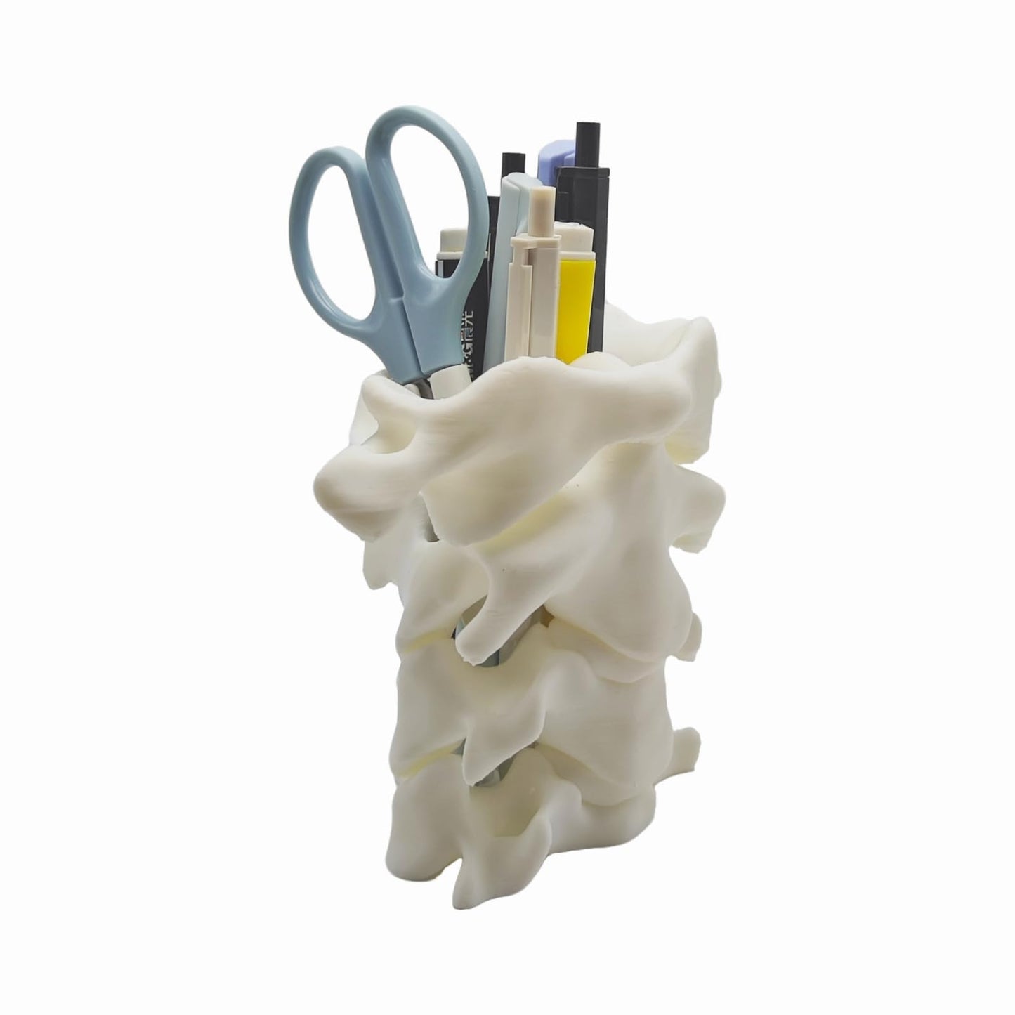 TIME&TRAVE Unique Spine Pen Holder for Desk, Pencil Holder Desk Organizers, Office Supplies Decorations Idea Gift for Doctors, Nurses, Chiropractors