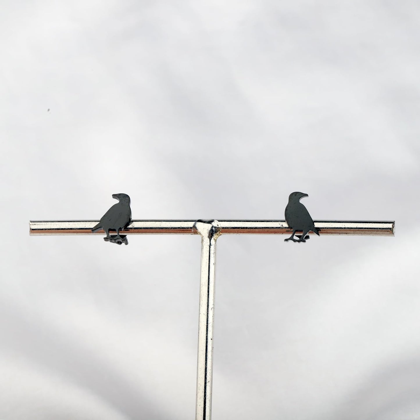 OKEYCH Raven Lover Gift Raven Themed Stud Earrings Who Loves Crow Jewelry Crow Bird Merch (Raven Themed Stud E)