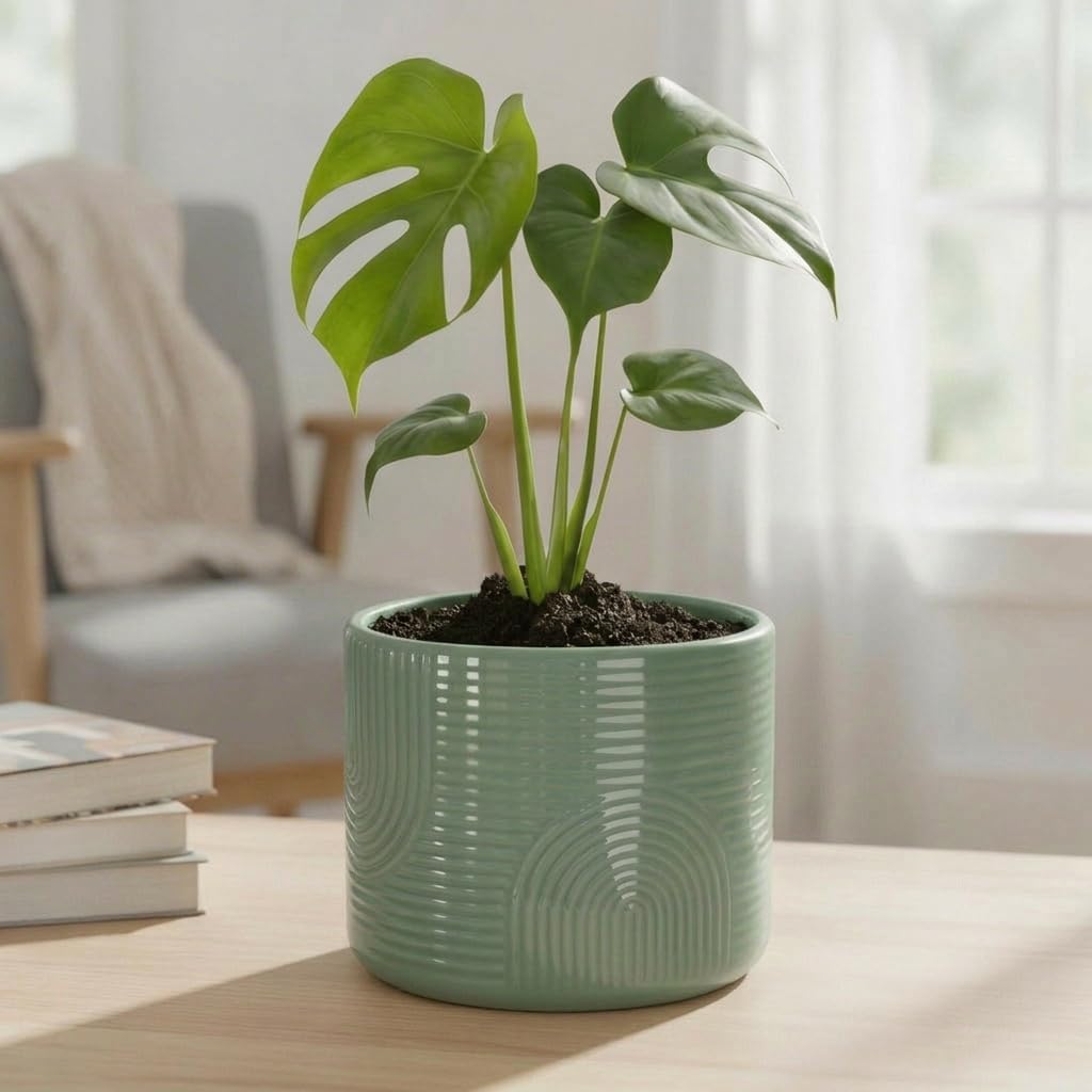 ÈMJÉ LUXE 6 Inch Ceramic Plant Pot – Decorative Indoor Planter (No Drainage Hole) for Succulents, Herbs & Houseplants – Modern Tabletop Desk Planter – Sage Green