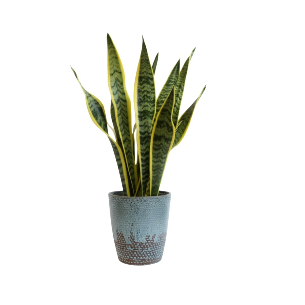 LYTIO Peyton Medium 11.8 in. Dia Blue Ceramic Patina Indoor Planter (CRM-090786)
