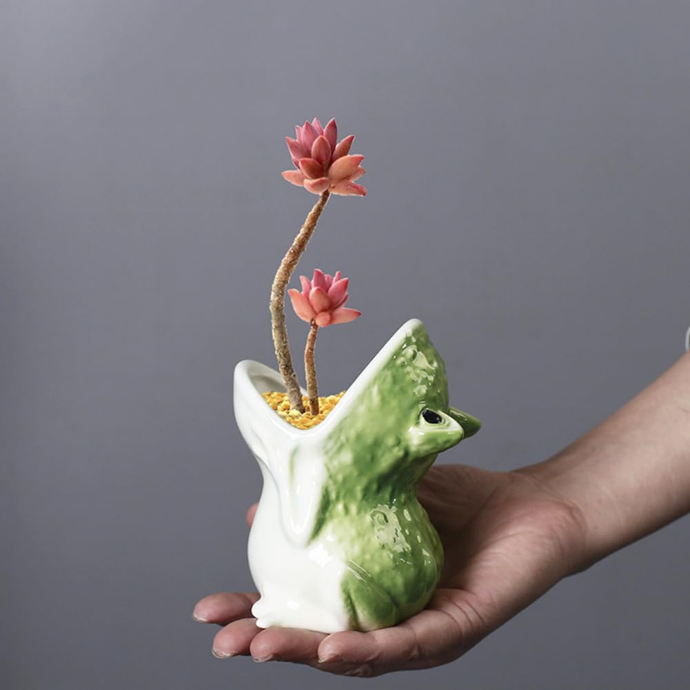Gemseek Cute Frog Succulent Planter Pot with Drainage Tray, Small Ceramic Cactus Flower Container, Funny Animal Shaped Indoor Air Plants Holder