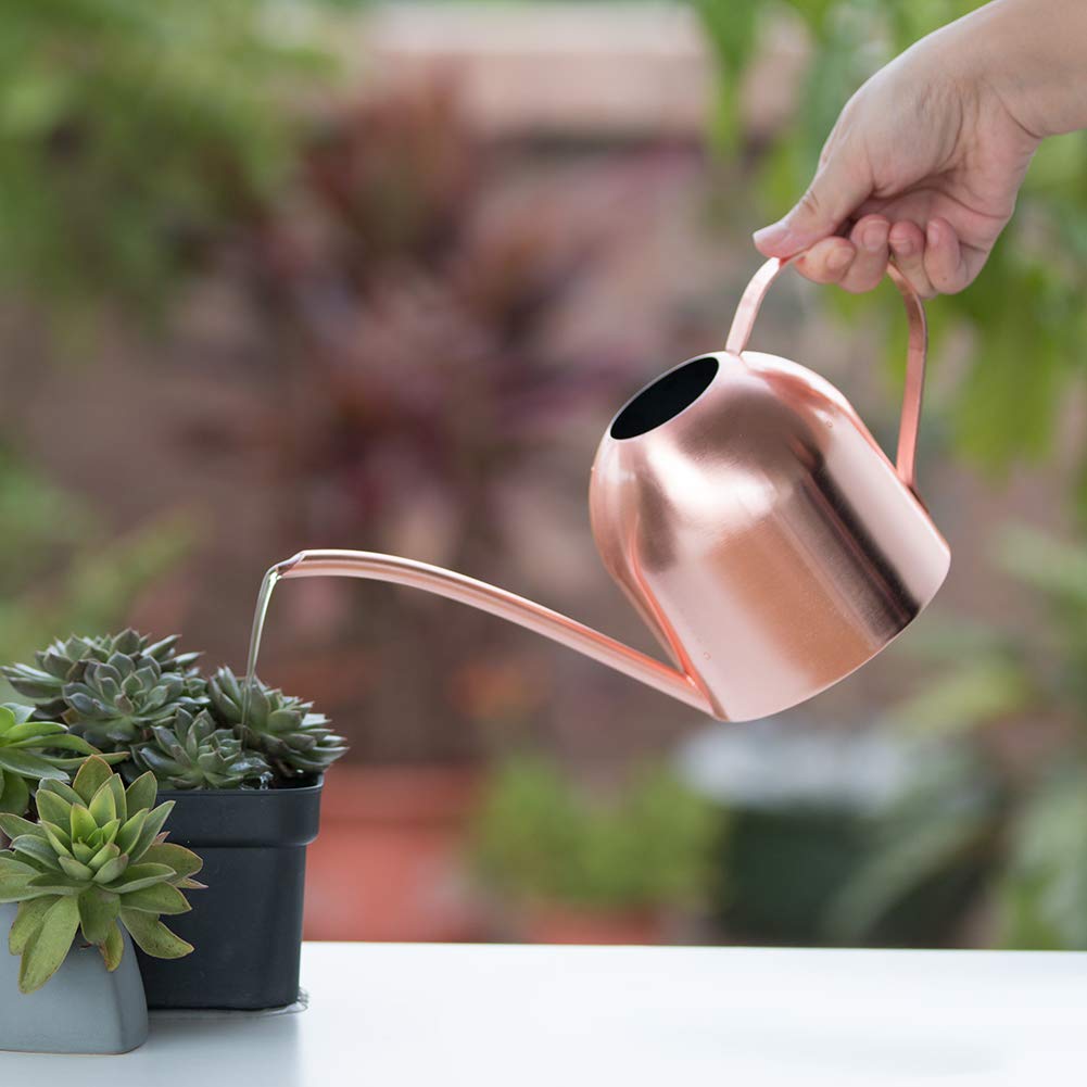 E.Palace Small Watering Can Indoor Plants Metal Watering Cans 15oz Capacity Cute Design for House Plants & Gardens (Rose Gold 15 oz)