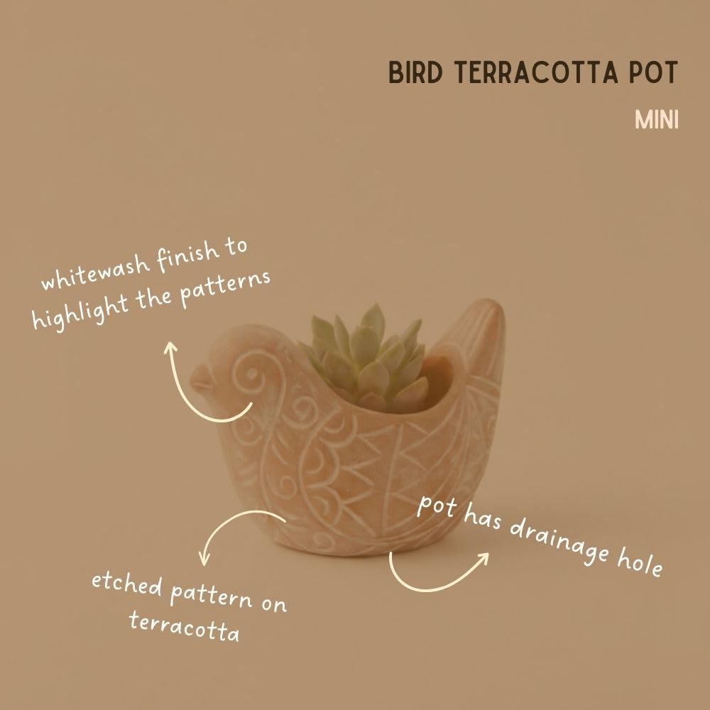 Potthing Terracotta Bird Shape Pots (Set)