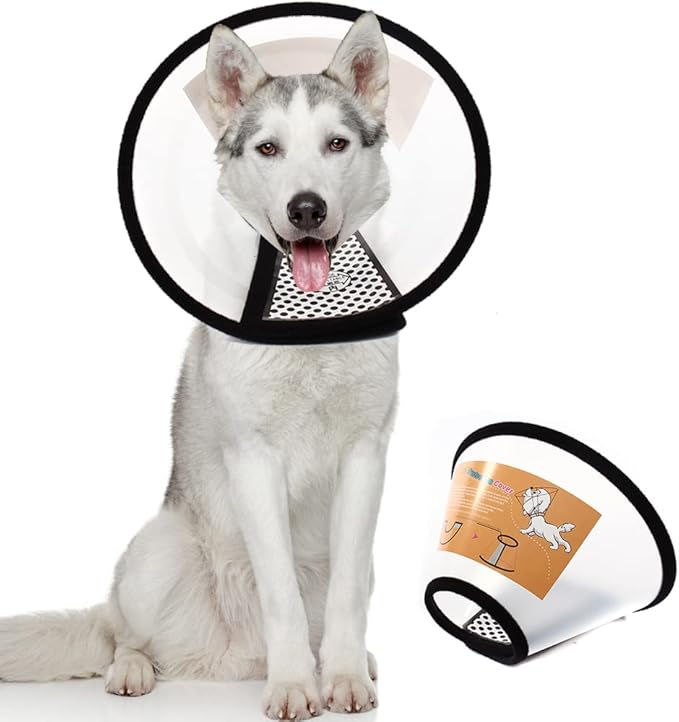 QIYADIN Plastic Pet Recovery Collars & Cones for Dogs and Cats After Surgery Adjustable Dog Neck Cone Surgical Elizabeth E-Collar Prevent Biting and Stop Licking Wound (M)