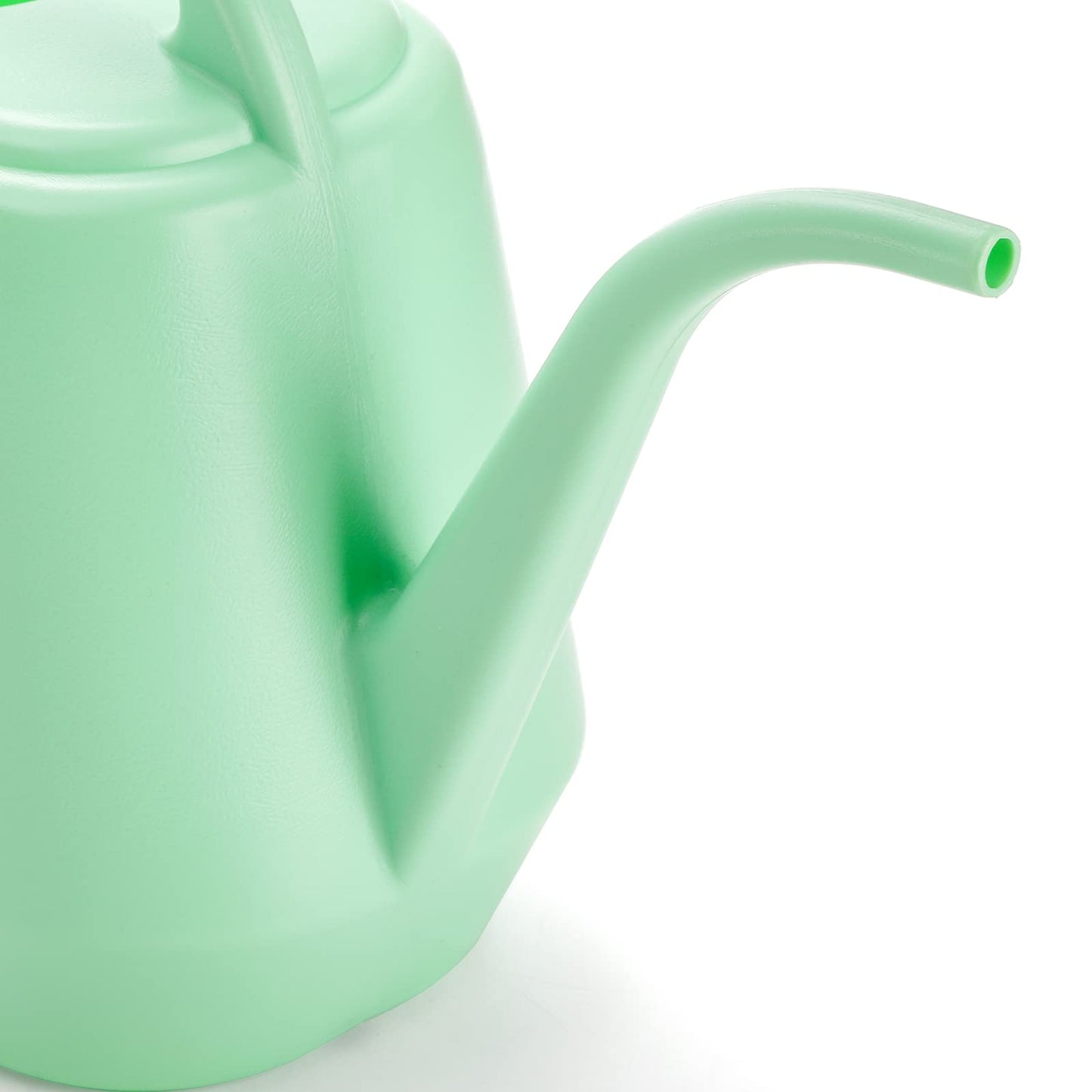 Fasmov Plastic Watering Can, 1-Gallon, Pine Green