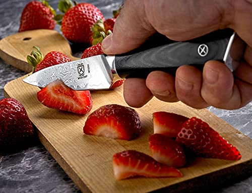 Mercer Culinary M13791 Premium Grade Super Steel, 3.5-Inch Paring Knife, G10 Handle - style: Paring Knife, G10 Handle 3.5 Inch