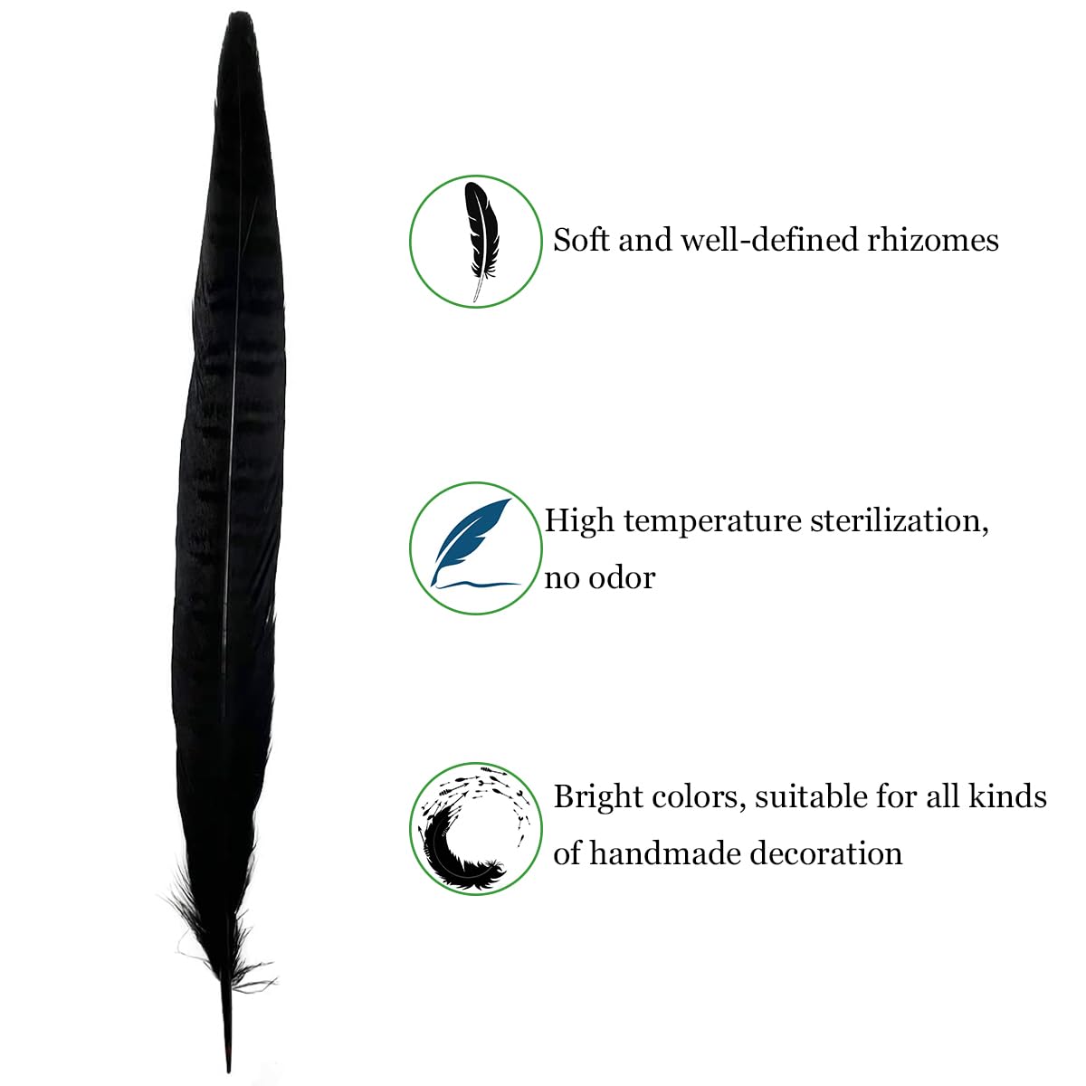 10pcs Black Pheasant Tail Feathers 10"-12" Gothic Decorative Feathers for Dark Edgy Art Projects Halloween Costumes Witchy Cosplay