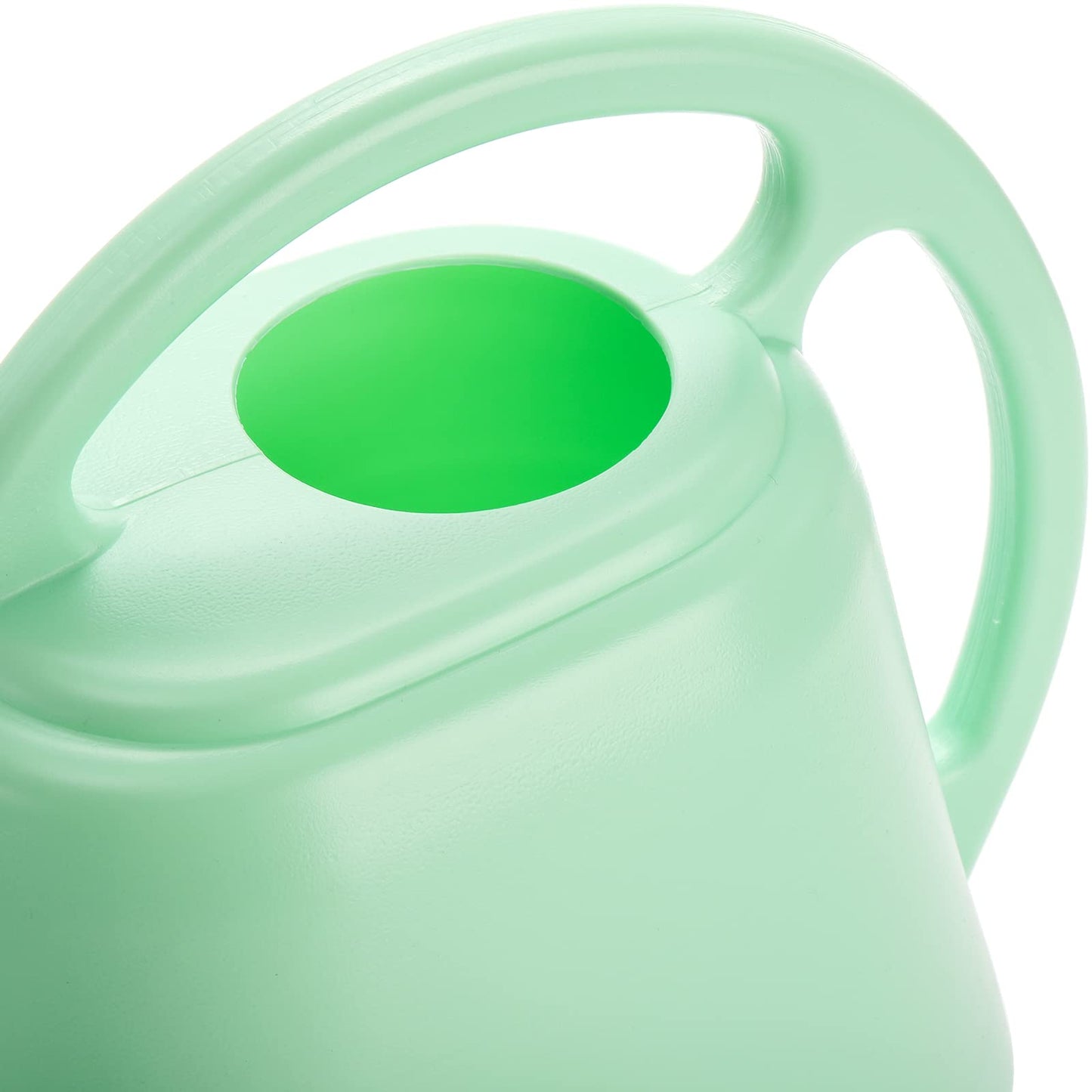 Fasmov Plastic Watering Can, 1-Gallon, Pine Green