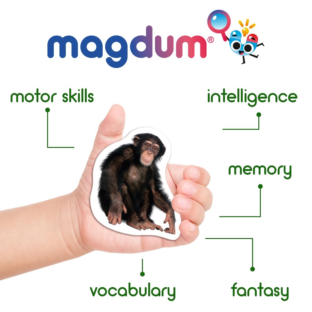 Fridge Magnets for Toddlers - Magdum - 110 Set Zoo+Farm+Fruit+Vegetable+Transport - Real Magnetic Animals for Refrigerator - Realistic Magnets for Kids - Learning Toy Set - Baby Educational Gift