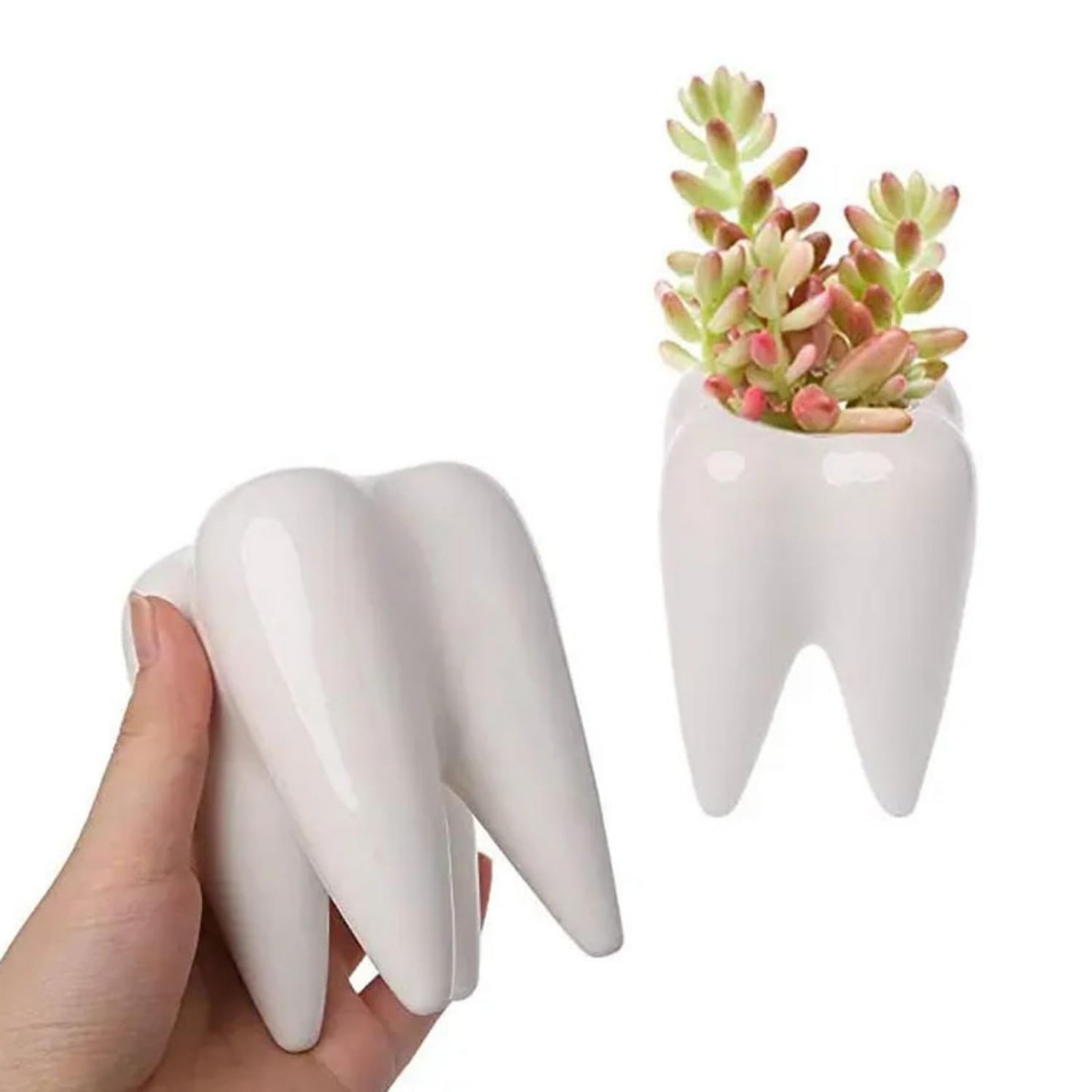 LECMACY Cute Tooth Shaped White Ceramic Planter Pots Flower Plant Containers, Mini Ceramic Succulent Planter Pots, Creative Pen Pencil Holder for Office Home Desk Decor, Plants Not Included (6 Pcs)
