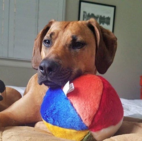 Fluff & Tuff Beach Ball,, 7"