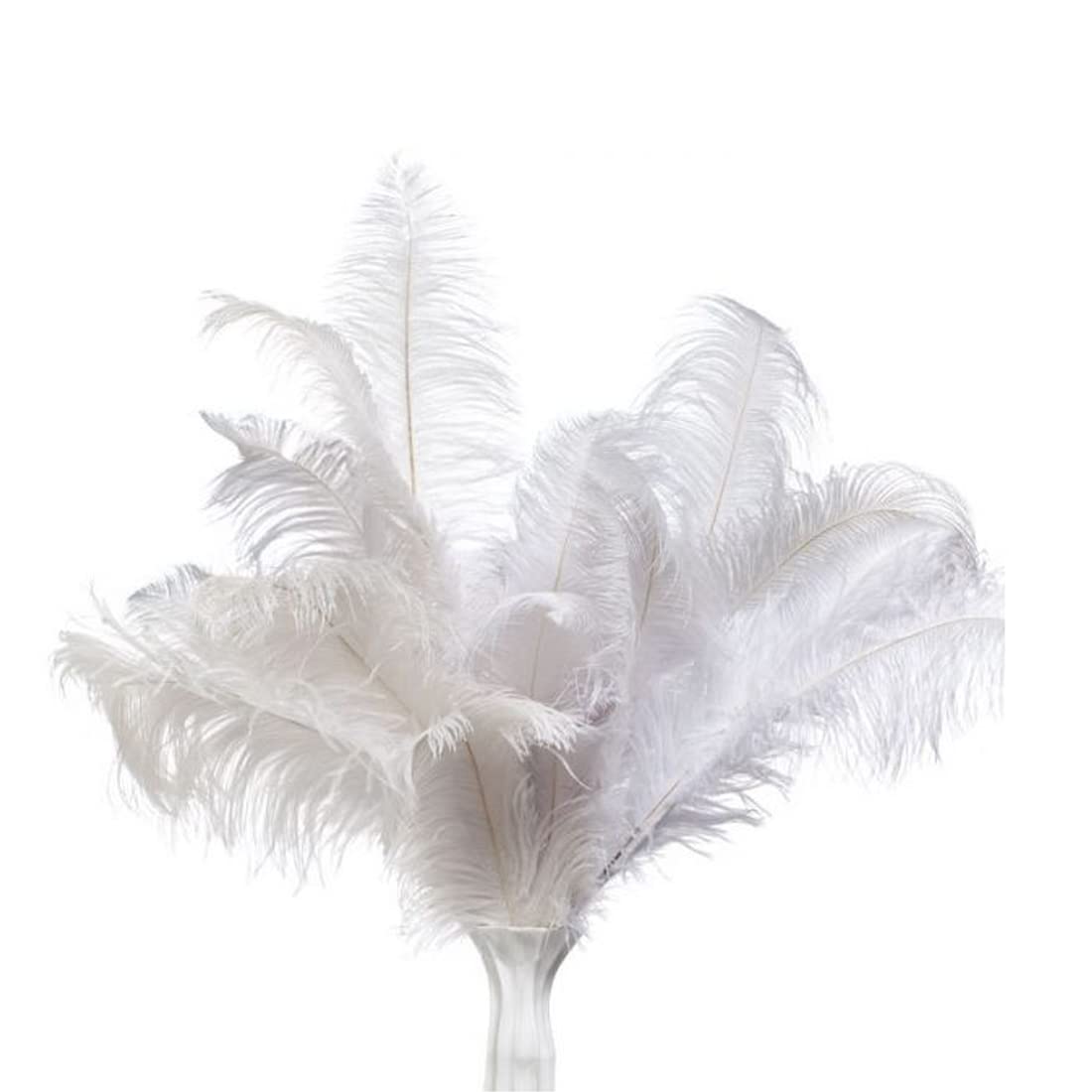 MARRTEUM 8-10 Inch Natural Ostrich Feathers for Party, Wedding, Masquerade and Home Decorations(10 PCS Black and 10PCS White)