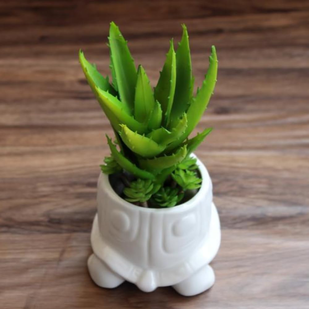 Ceramics Succulent Pot Animals Planter/Plant/Flower/Bonsai Pot Ornament for Herb, Succulent,Cactus Container for Home Balcony Desk Decoration (Turtle)