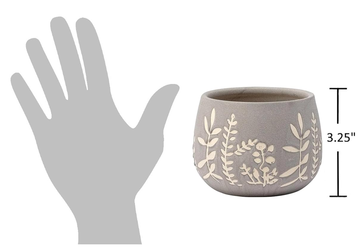 The Bridge Collection Leaf Patterned Ceramic Planter-Modern Indoor Plant Pot Perfect for Succulents and Small Plants
