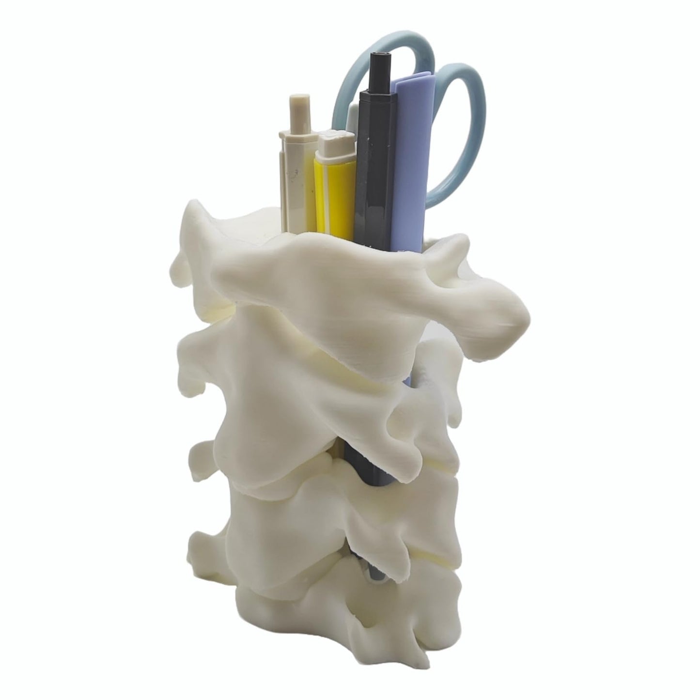 TIME&TRAVE Unique Spine Pen Holder for Desk, Pencil Holder Desk Organizers, Office Supplies Decorations Idea Gift for Doctors, Nurses, Chiropractors
