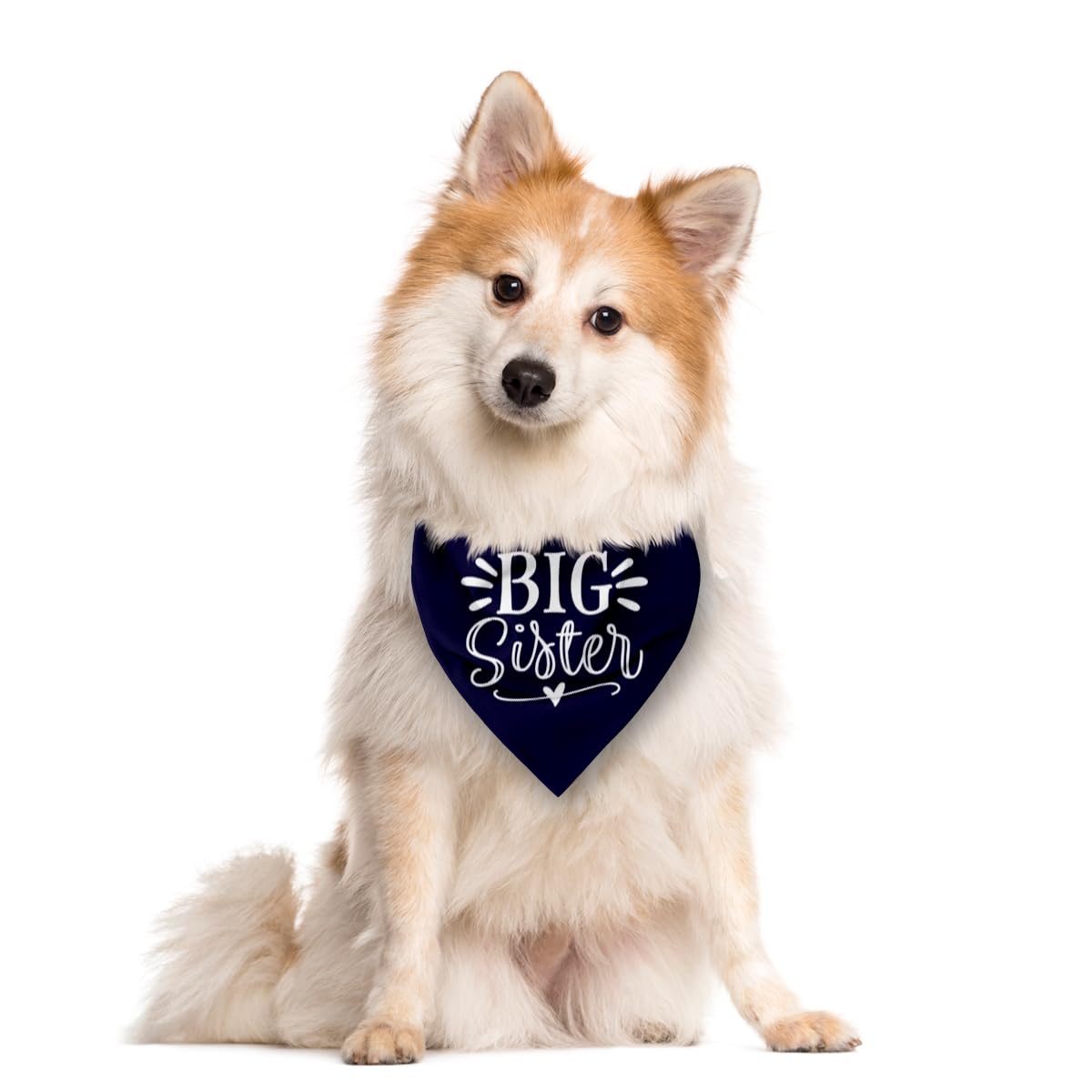 Big Sister Dog Bandana, White Pet Triangle Scarf Accessories, Pet Bandana for Large Dogs, Baby Announcement Dog Bandanas (L)