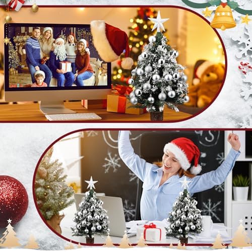 RoundFunny 25 Pcs Mini Christmas Balls Ornaments Set 1.57 Inch Christmas Day Ball Topper Star Tree Hanging Ornaments for Party Decoration(Silver)