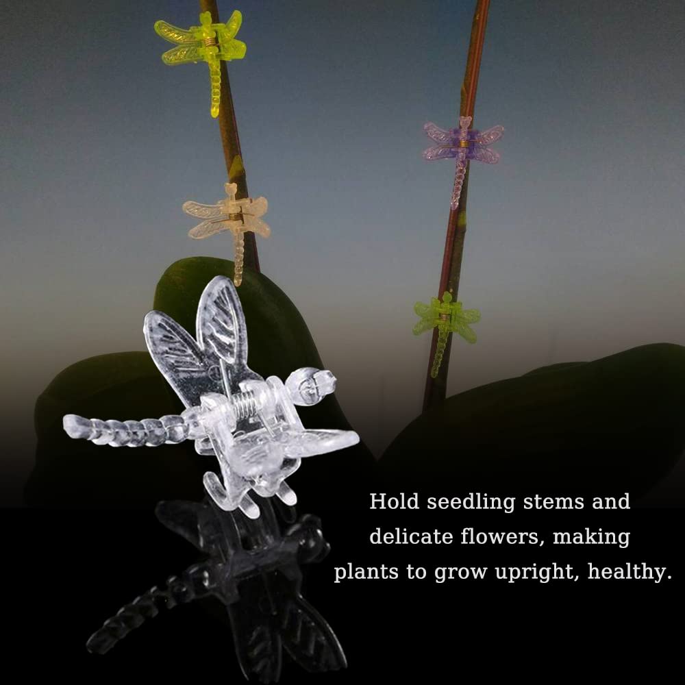 Watris Veiyi 100Pcs Plant Orchid Support, Garden Dragonfly Orchid Clips, Portable Cute Flower Vine Clips (Transparent)