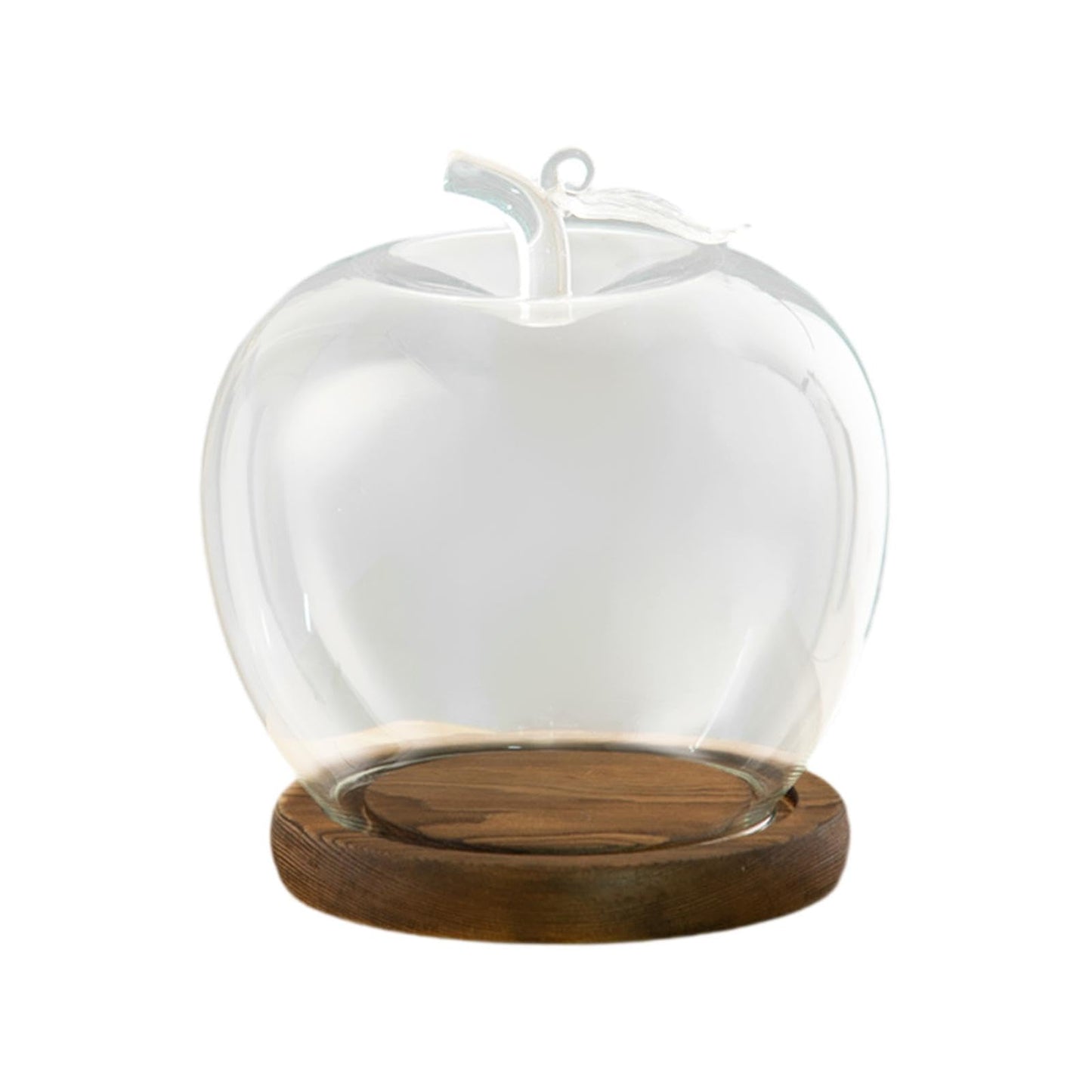 Clear Glass Dome Jar with Wooden Base Decorative DIY Flower Craft Tabletop Display Dia 3.5inch for Home Decor Valentine's Day, Coffee