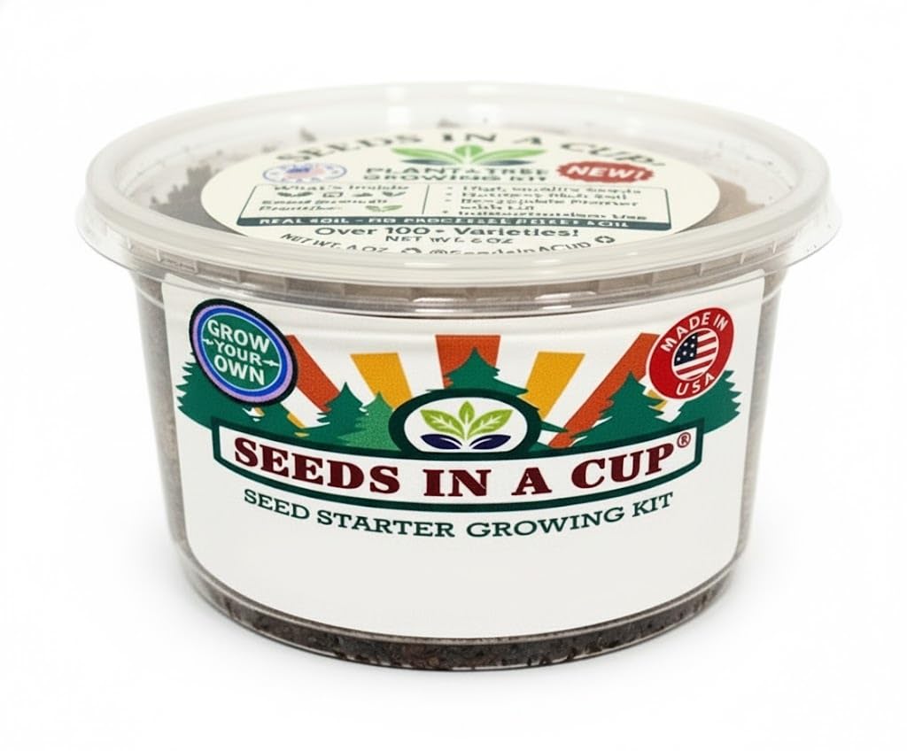 English Ivy Seed Starter Kit | Seeds In A Cup® | Hand Picked Ivy Seeds, Planter with Clear Lid | Gift for Mom, Dad, Kids & You! Made in USA