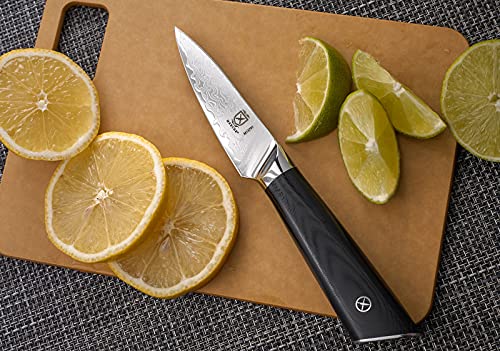 Mercer Culinary M13791 Premium Grade Super Steel, 3.5-Inch Paring Knife, G10 Handle - style: Paring Knife, G10 Handle 3.5 Inch