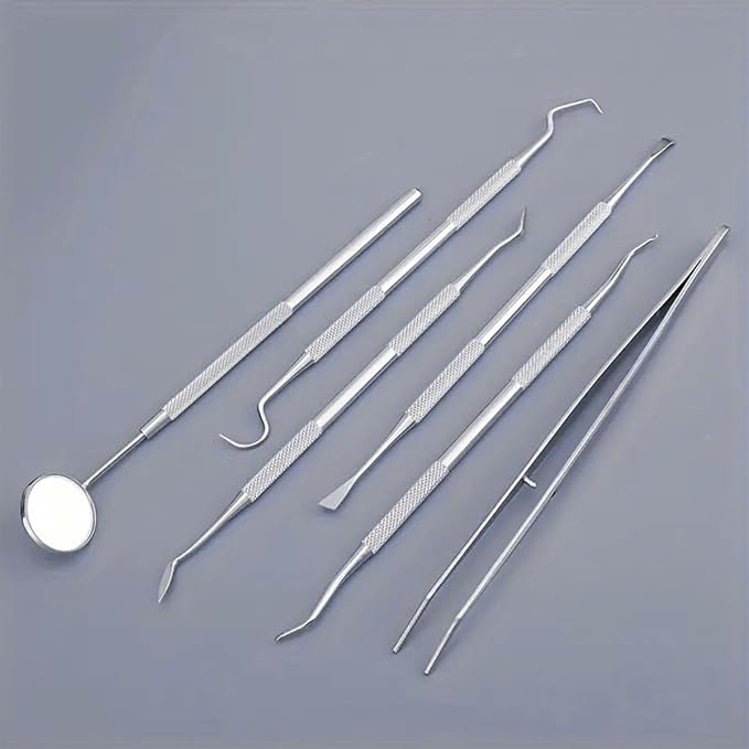 Stainless Steel Dental Kit - 6 Pack Dental Tools with Tooth Mirror, Dental Hygiene Kit for Adults, Kids, Dogs with Mirror, Picks, Travel Case (S)