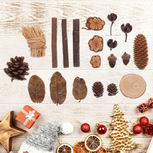 LUOEM Natural Forest DIY Craft Set Rustic Pine Cones Leaves Dried Flowers Ornaments Photo Booth Props Home Decor