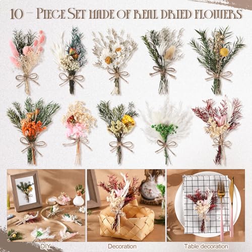 Nuanchu 10 Pcs Mini Dried Flower Bouquet Mixed Natural Dried Flowers with Stem Boho Plant Stem Bunch for DIY Craft Card Home Party Photo Props Wedding Decor, 5 to 6 inches(Classic Styles) - style: Classic Styles