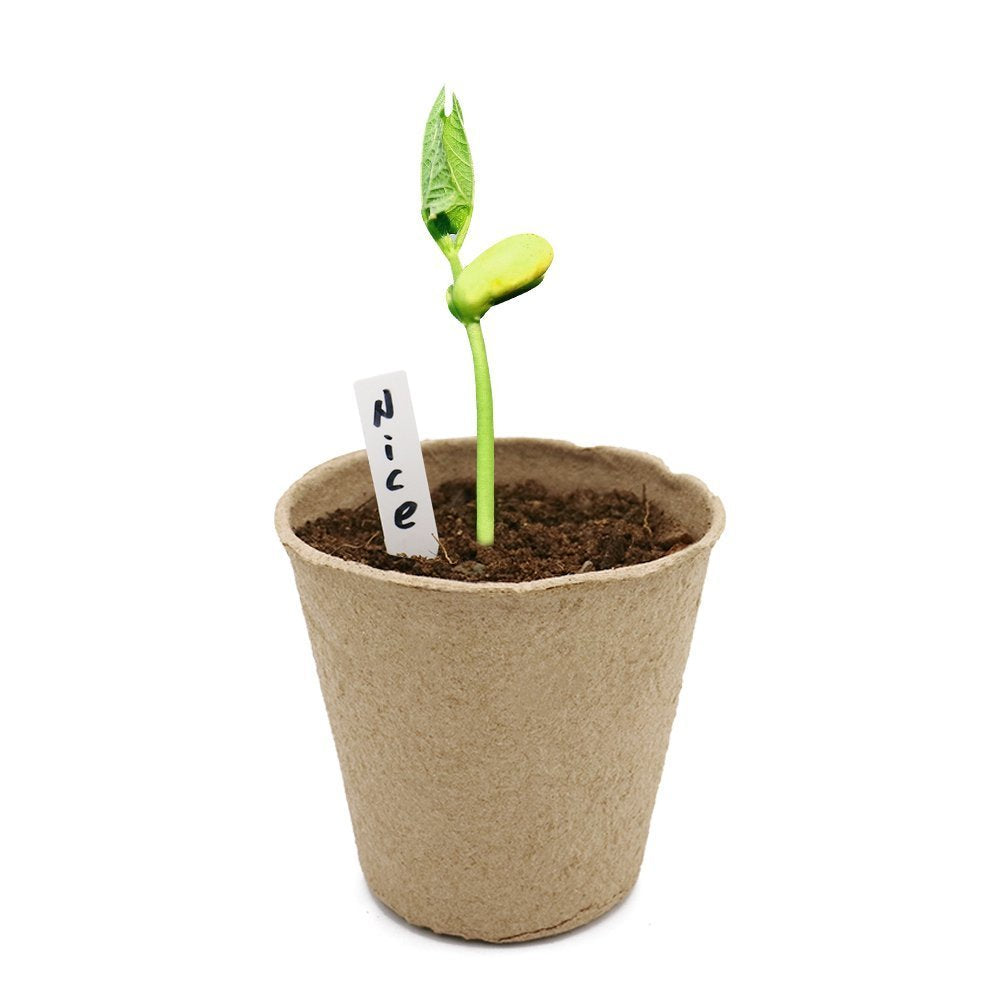 KINGLAKE 100 Pcs 3 Inch Peat Pots, Seeds Starter, Transplant Seedlings With 100 Pcs White Plastic Plant Labels