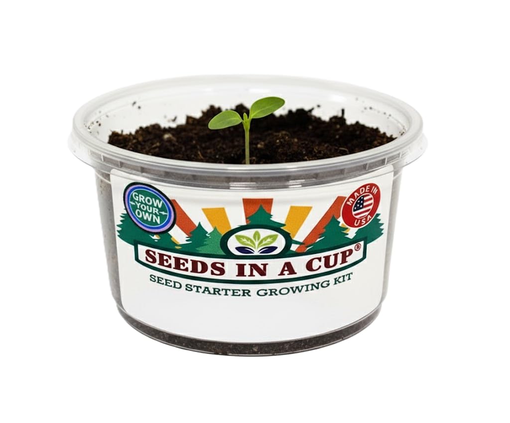 English Ivy Seed Starter Kit | Seeds In A Cup® | Hand Picked Ivy Seeds, Planter with Clear Lid | Gift for Mom, Dad, Kids & You! Made in USA