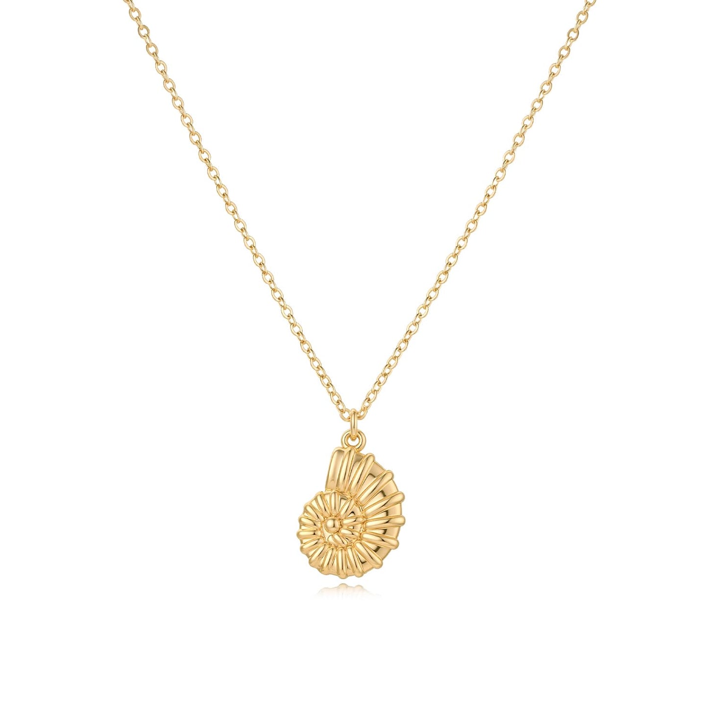 MYEARS Women Gold Necklace Conch Shell Pendant 14K Simple Dainty Chain Everyday Summer Beach Jewelry