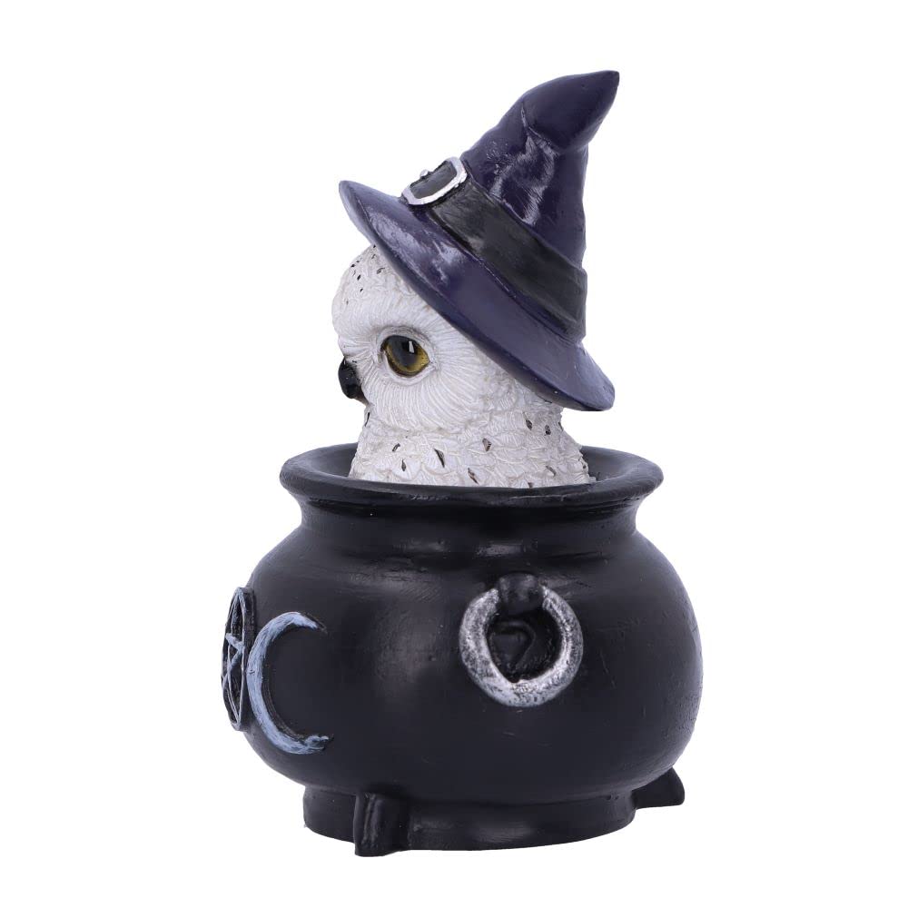 Nemesis Now Owl's Brew 10cm, Black