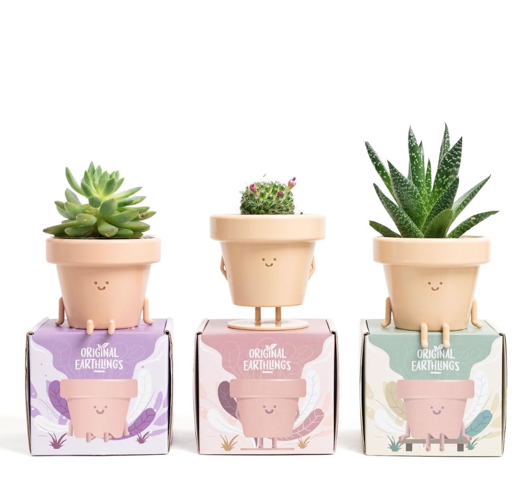 Cute Indoor Plant Pots Set of 3, Unique Plastic Succulent Pots for Plant Lovers (Plants NOT Included)