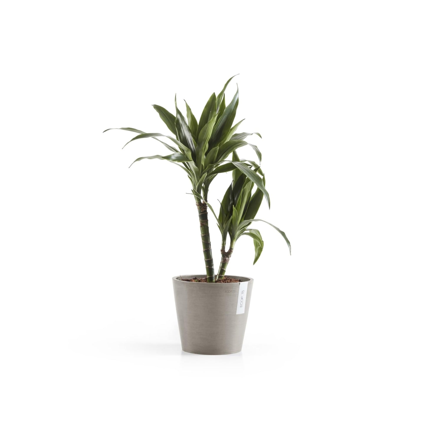 Ecopots Amsterdam Durable Modern Round Indoor/Outdoor Recycled-Based Composite Flower Pot Planter, Taupe, 8"
