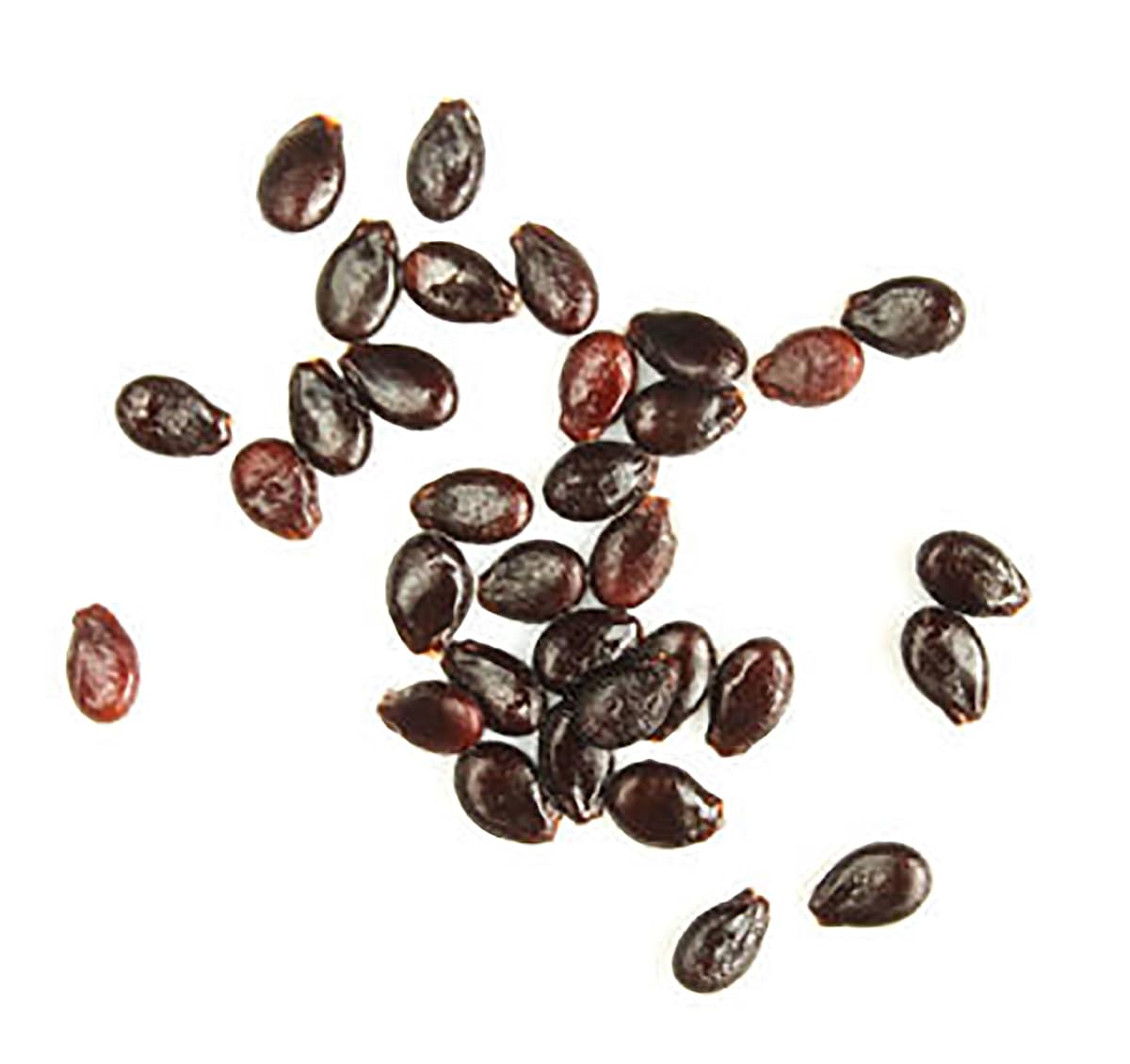 Georgia Rattlesnake Watermelon Seeds - Large Heirloom Watermelon