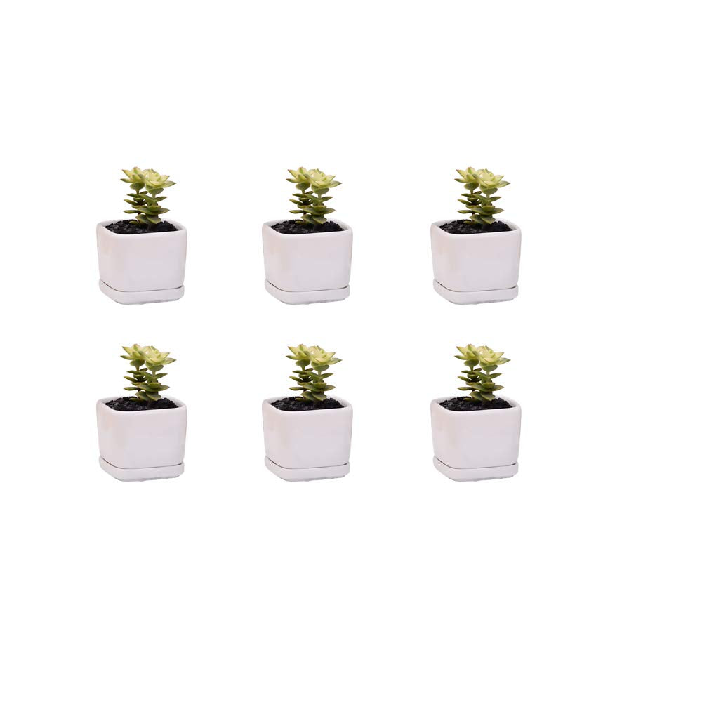 WISH HALLY WOOD Mini 6 Set of 2x2x1.65inch Square Modern Minimalist White Ceramic Succulent mini Planter Pot/Window Box with Saucer (6, 2inch)